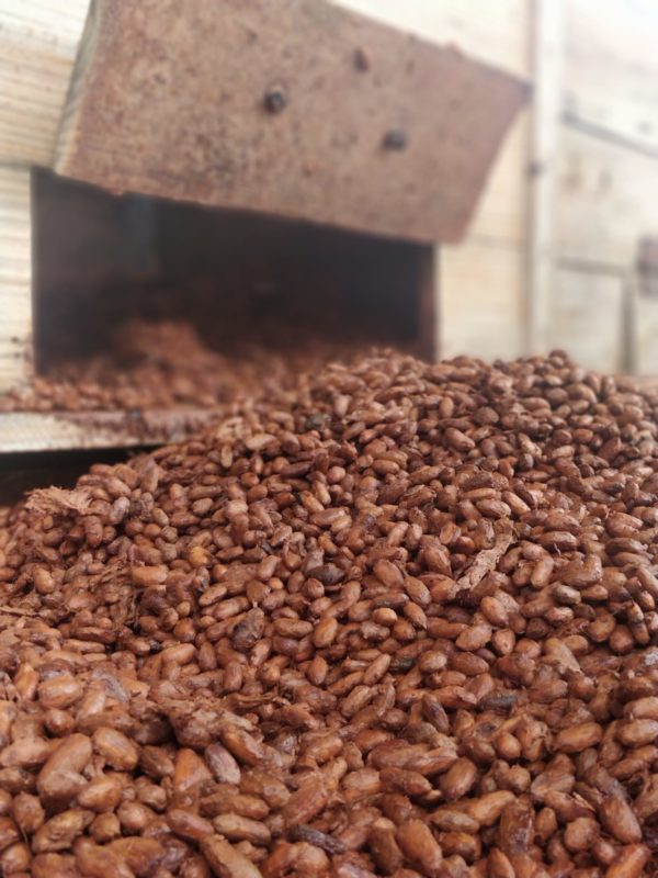 Cacao fermentation