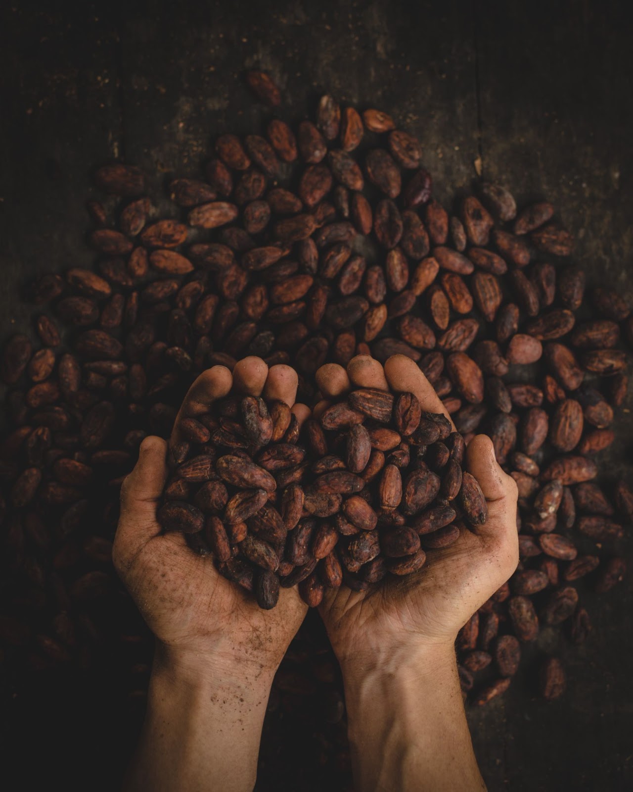Cacao gezond